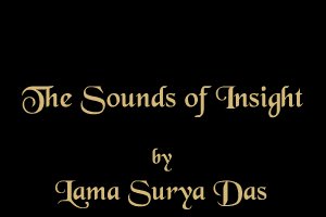 The Sounds of Insight